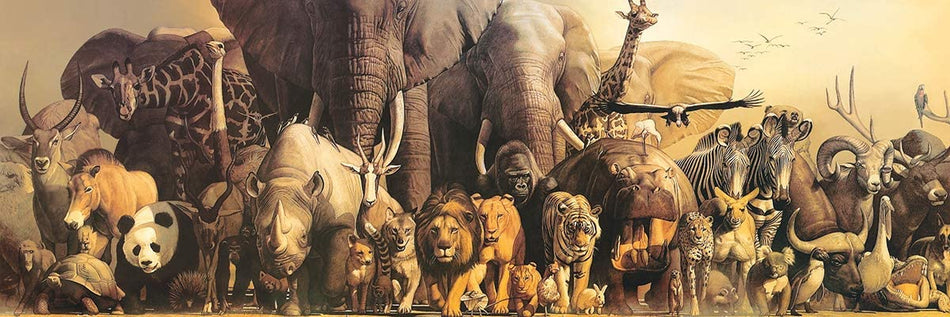 EUROGRAPHICS: Noah's Ark: 1000 Piece Puzzle