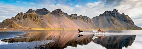 Heye: Iceland Horses: 1000 Piece Panoramic Puzzle