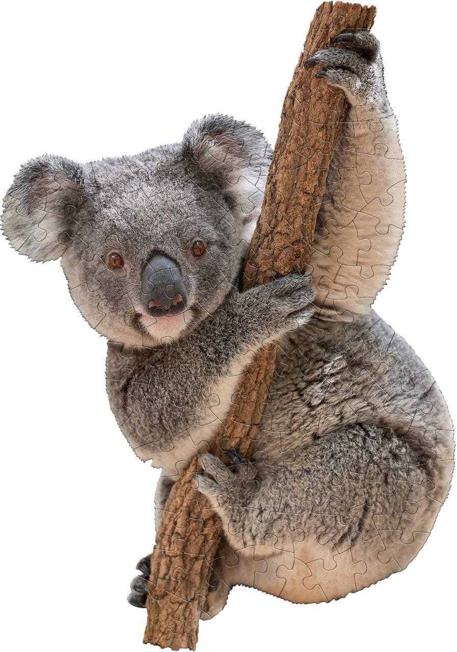 Madd Capp: I Am Lil' Koala: 100 Piece Puzzle
