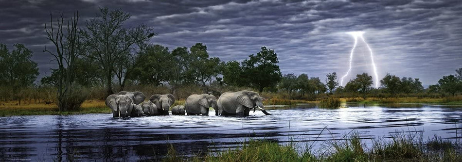 Heye: Herd of Elephants: 2000 Piece Panoramic Puzzle