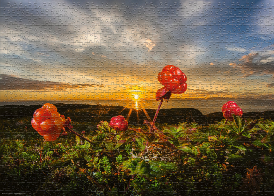 Heye: Cloudberries: 1000 Piece Puzzle