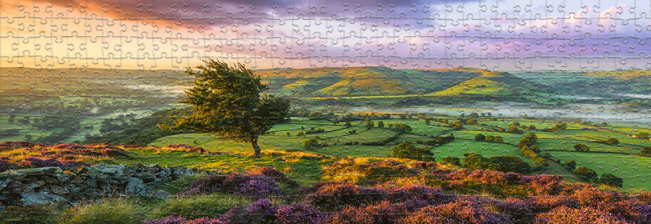 Heye: Purple Bloom: 1000 Piece Panoramic Puzzle