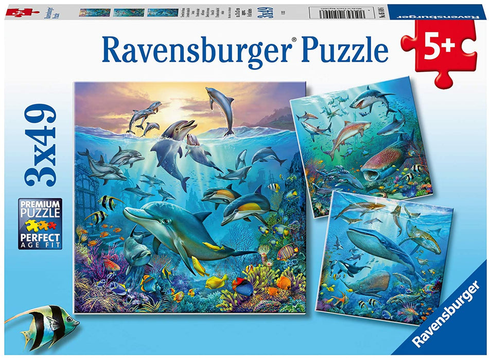 Ravensburger: Ocean Life: 3x49 Piece Puzzle