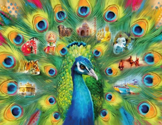 Ravensburger: Land of The Peacock: 2000 piece Puzzle