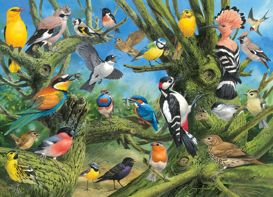 Eurographics: Garden Birds: 1000 Piece Puzzle