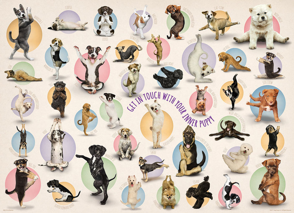 Eurographics: Yoga Puppies: 300 Piece Puzzle
