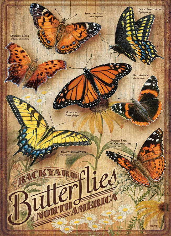 Cobble Hill: Backyard Butterflies: 500 Piece Puzzle