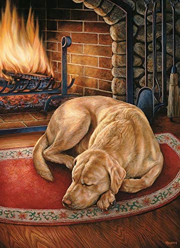 Cobble Hill: Home is Where The Dog is: 1000 Piece Puzzle
