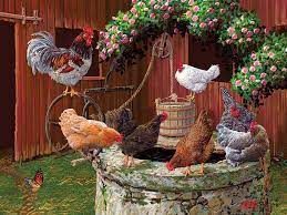 Cobble Hill: The Chickens are Well: 275 Piece Puzzle