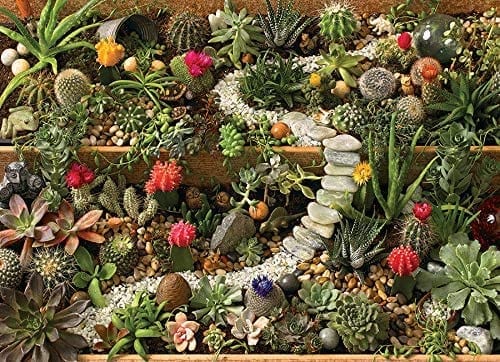Cobble Hill: Succulent Garden: 1000 Piece Puzzle