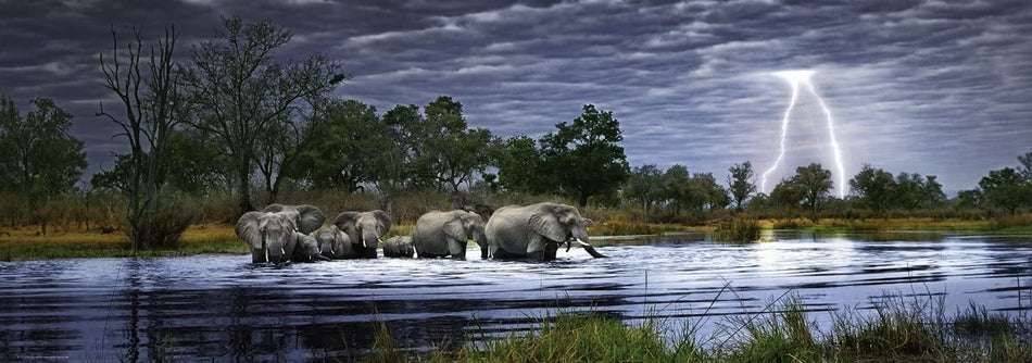 A panoramic heye jigsaw puzzle depicting a herd of elephants near a water body with lightning in the distance.