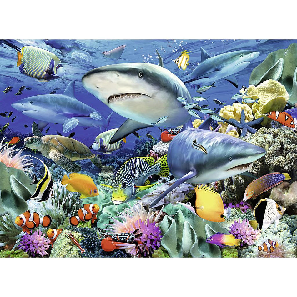 Ravensburger: Shark Reef: 100 XXL Piece Puzzle