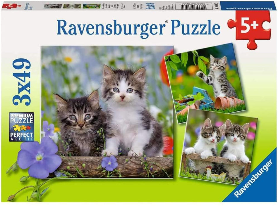 Ravensburger: Tiger Kittens: 3 x 49 Piece Puzzles