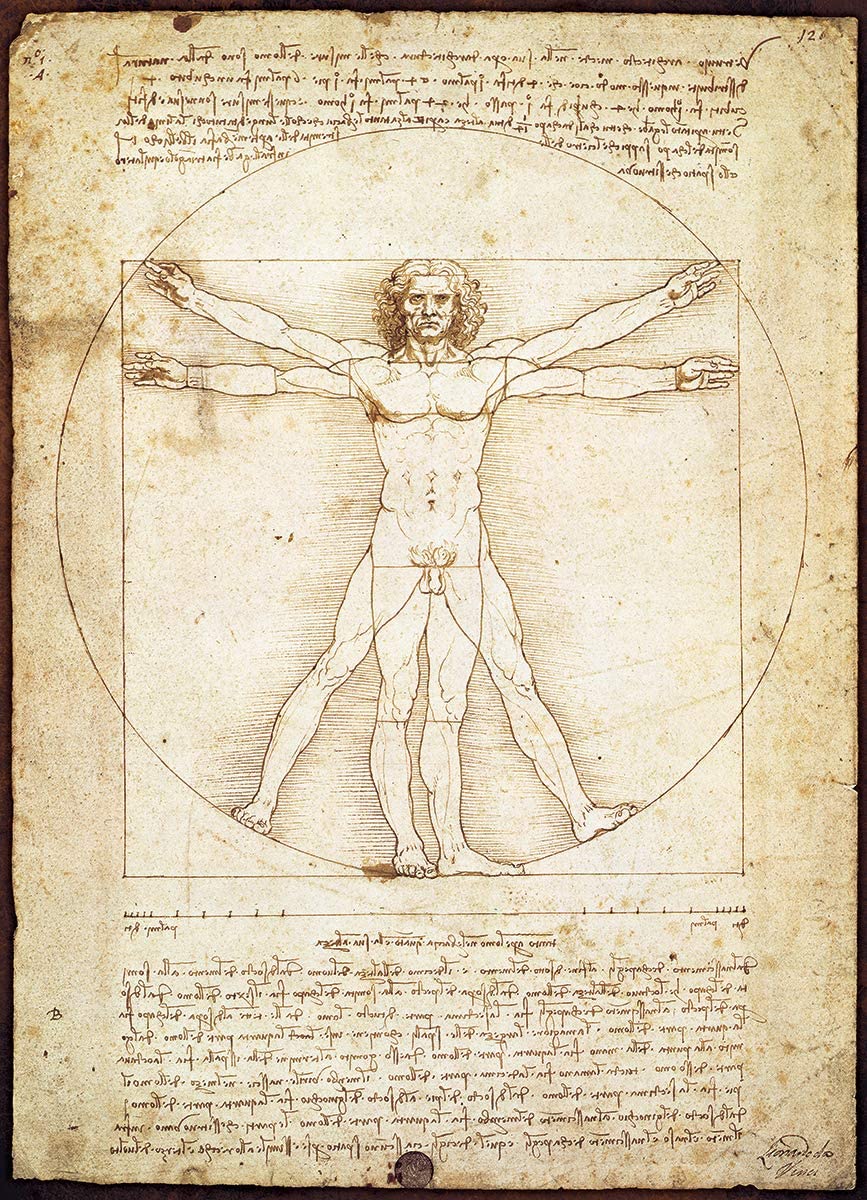 EuroGraphics: Vitruvian Man by Leonard Da Vinci: 1000 Piece Puzzle