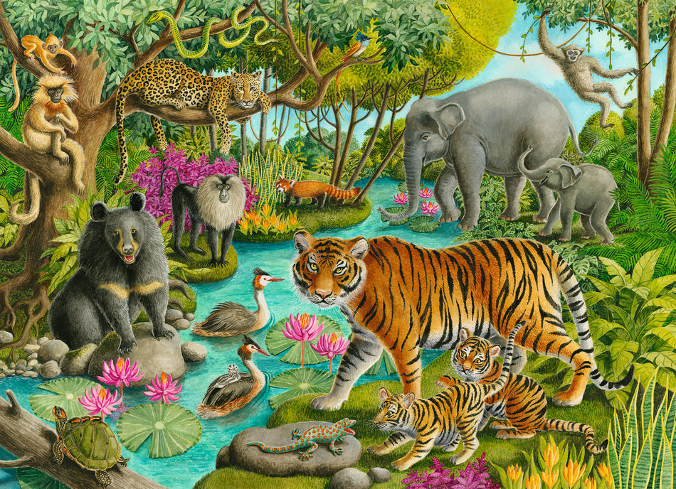 Ravensburger: Animals of India: 60 Piece Puzzle