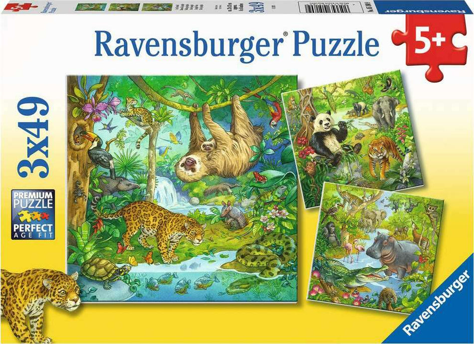 Ravensburger: Jungle Fun: 3x49 Piece Puzzle