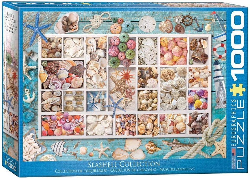 EUROGRAPHICS: Seashell Collection: 1000 Piece Puzzle