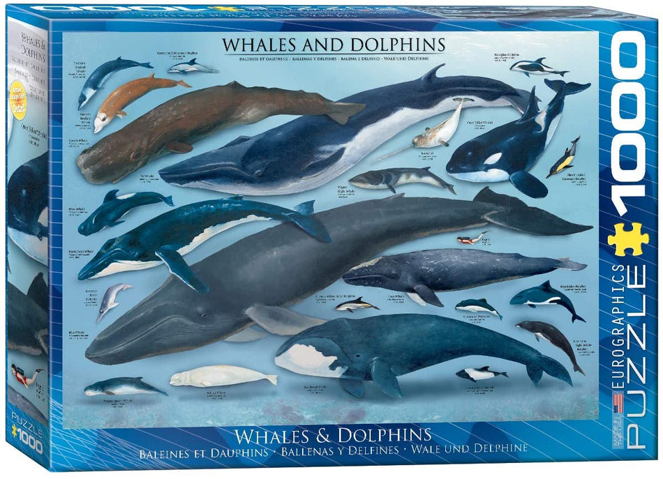 EuroGraphics: Whales & Dolphins: 1000 Piece Puzzle